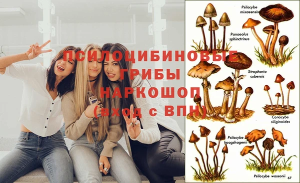 прущая мука Магадан
